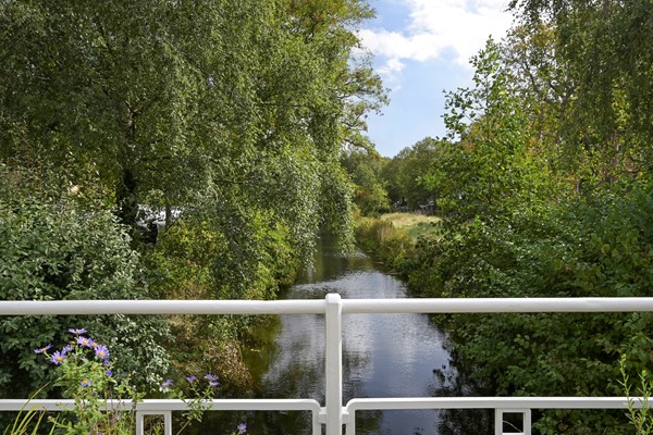 Medium property photo - Hart Nibbrigkade 64, 2597 XX Den Haag